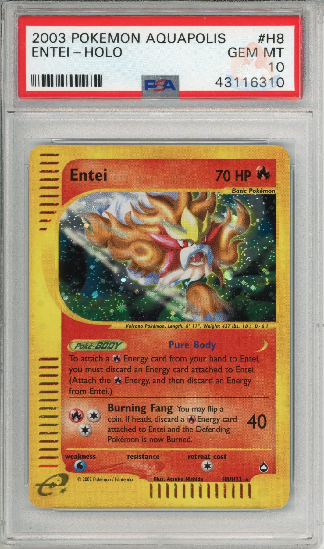 Entei Holo (Population 79)