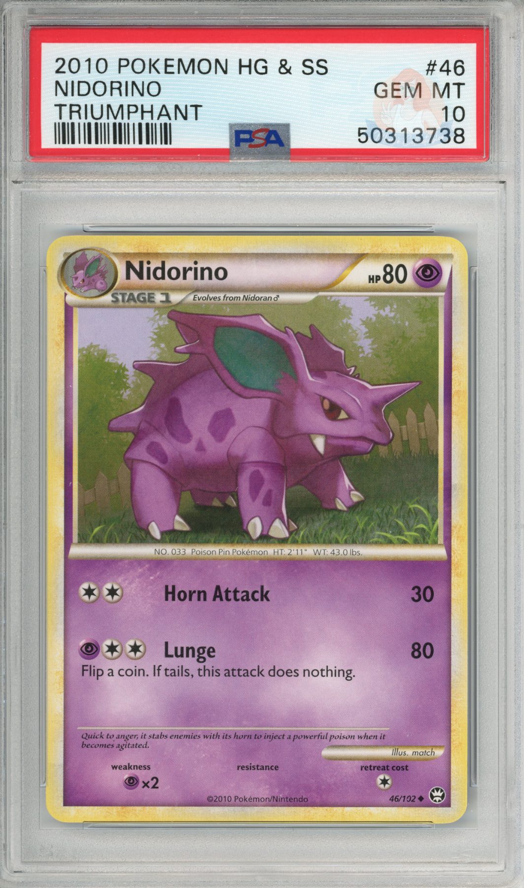 Nidorino (Population; 1)