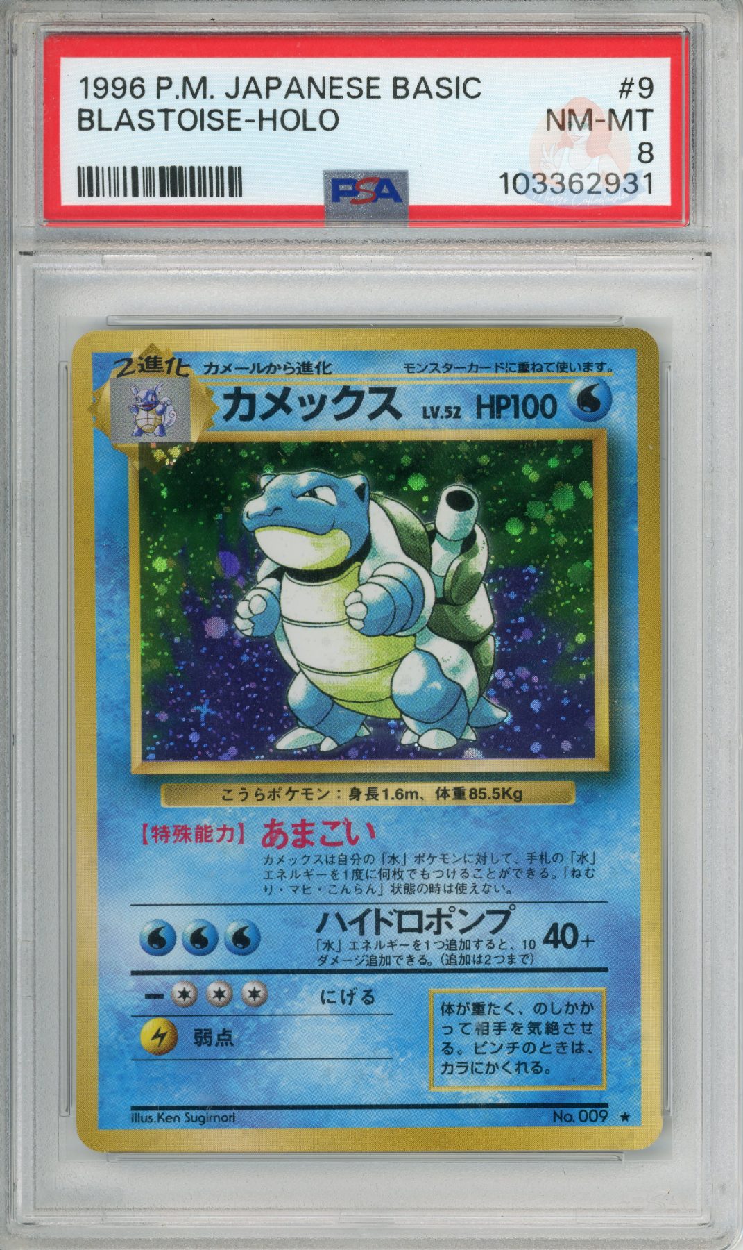 Blastoise Holo