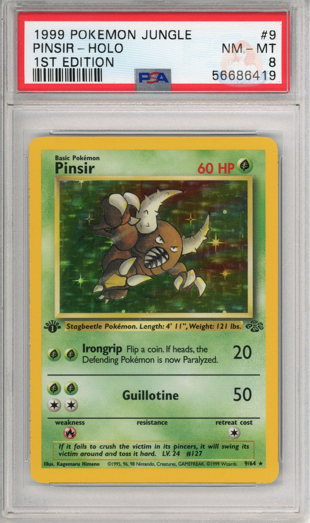 Pinsir Holo
