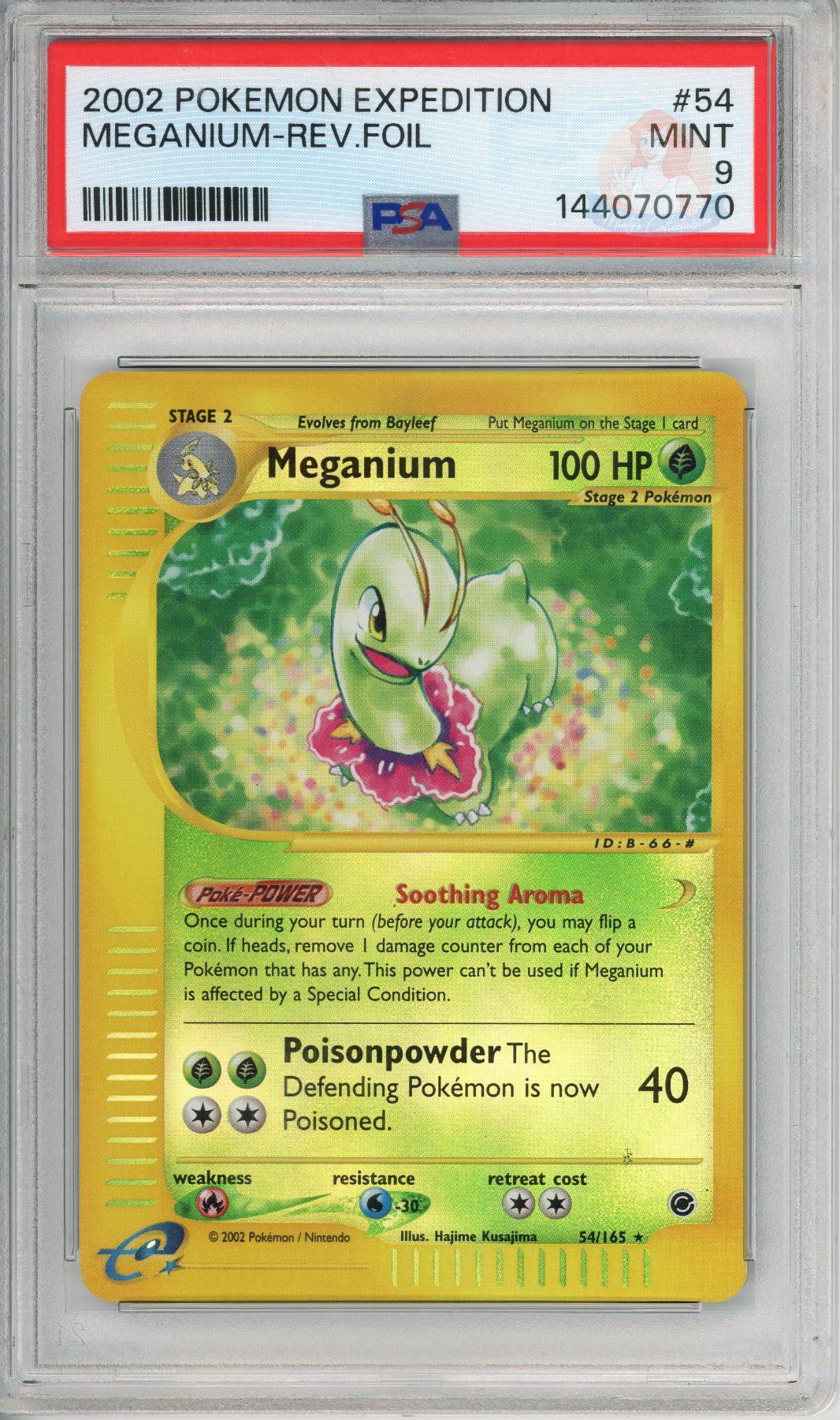 Meganium Reverse Holo