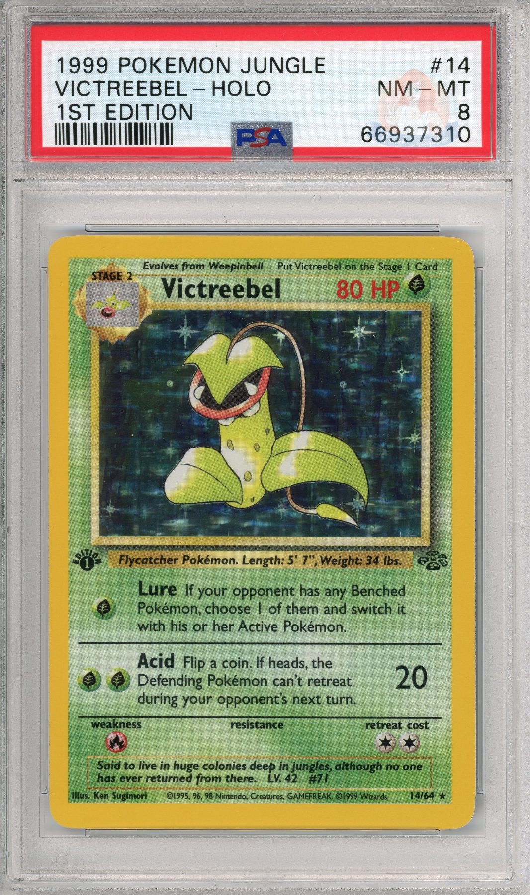 Victreebel Holo