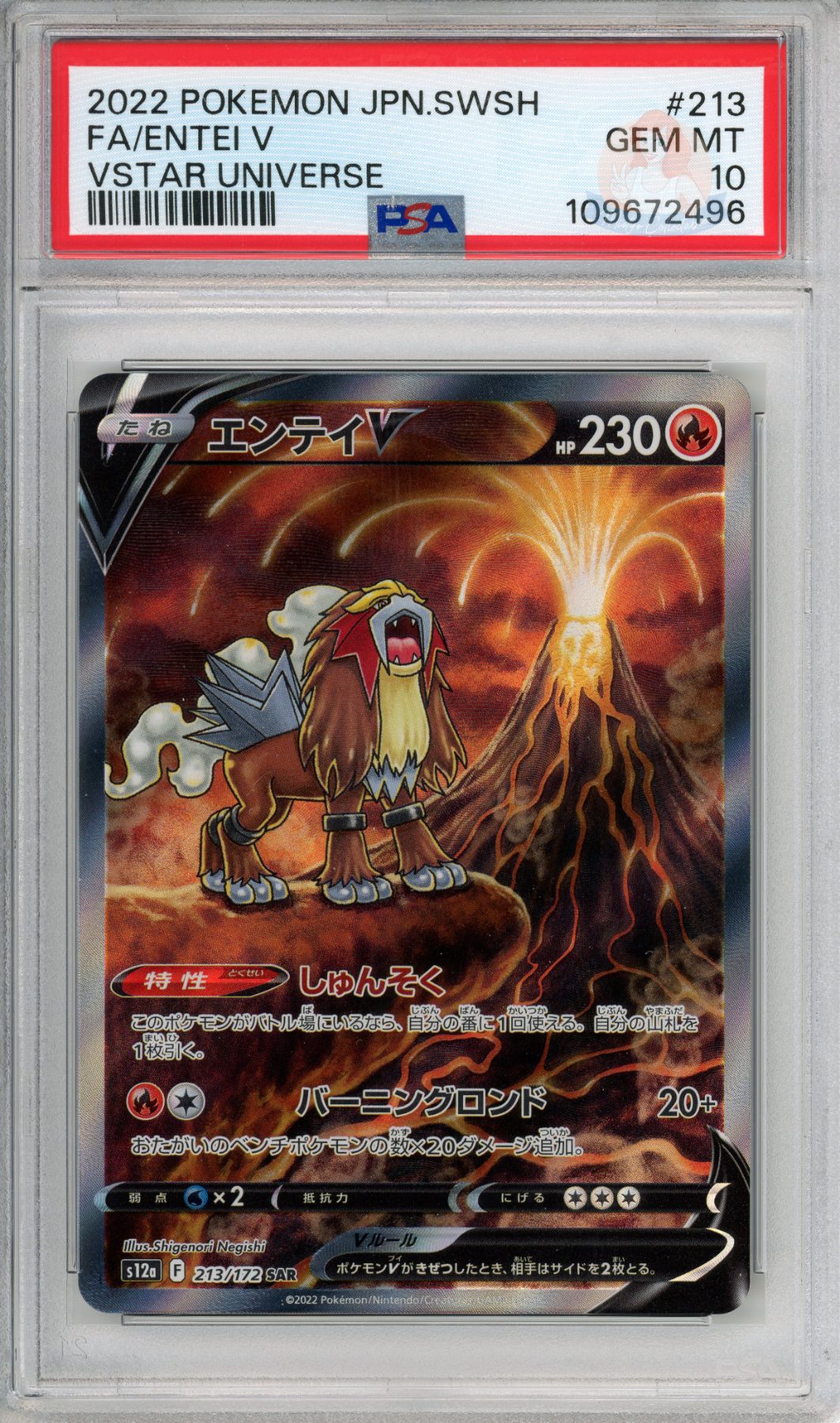 Entei V