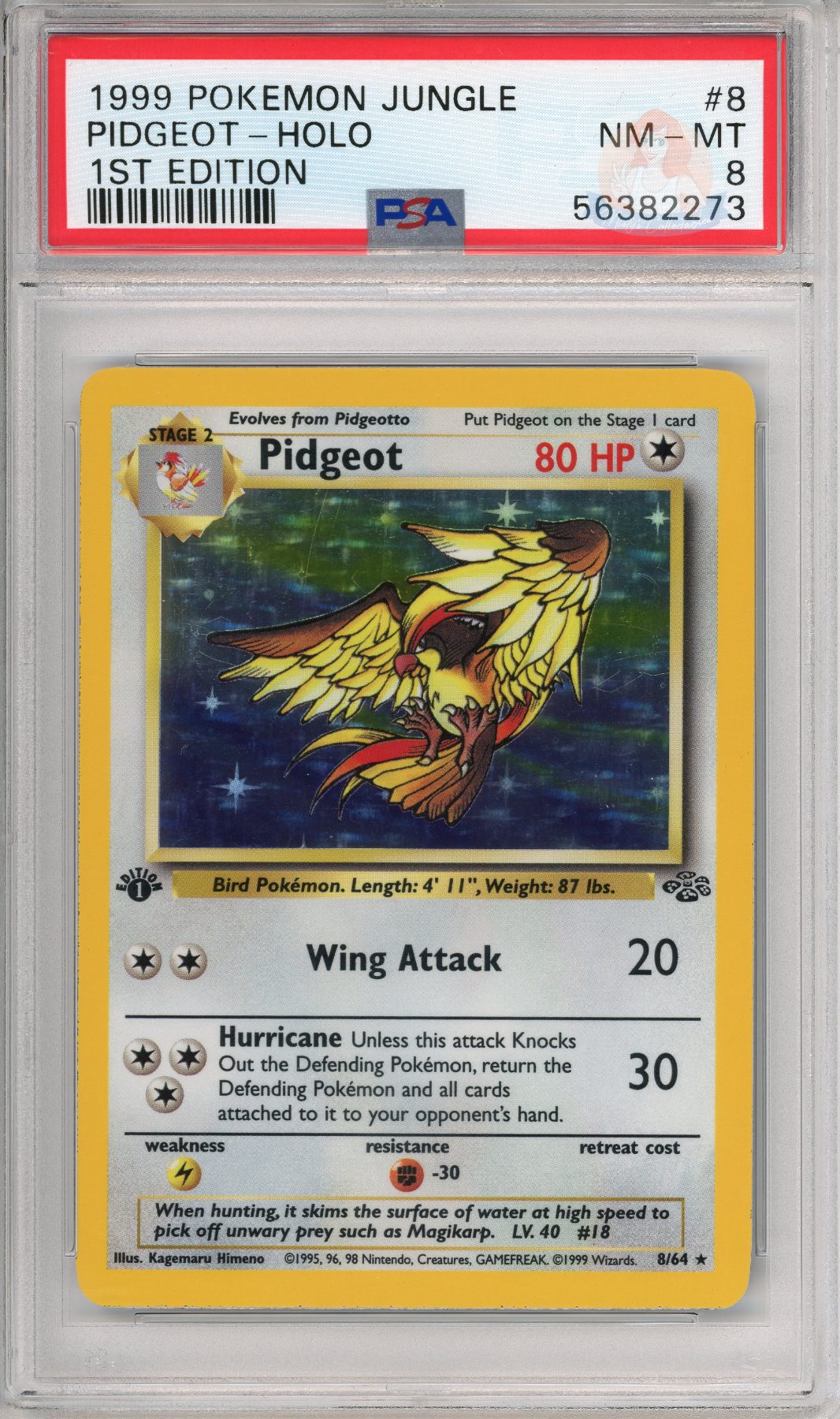 Pidgeot Holo
