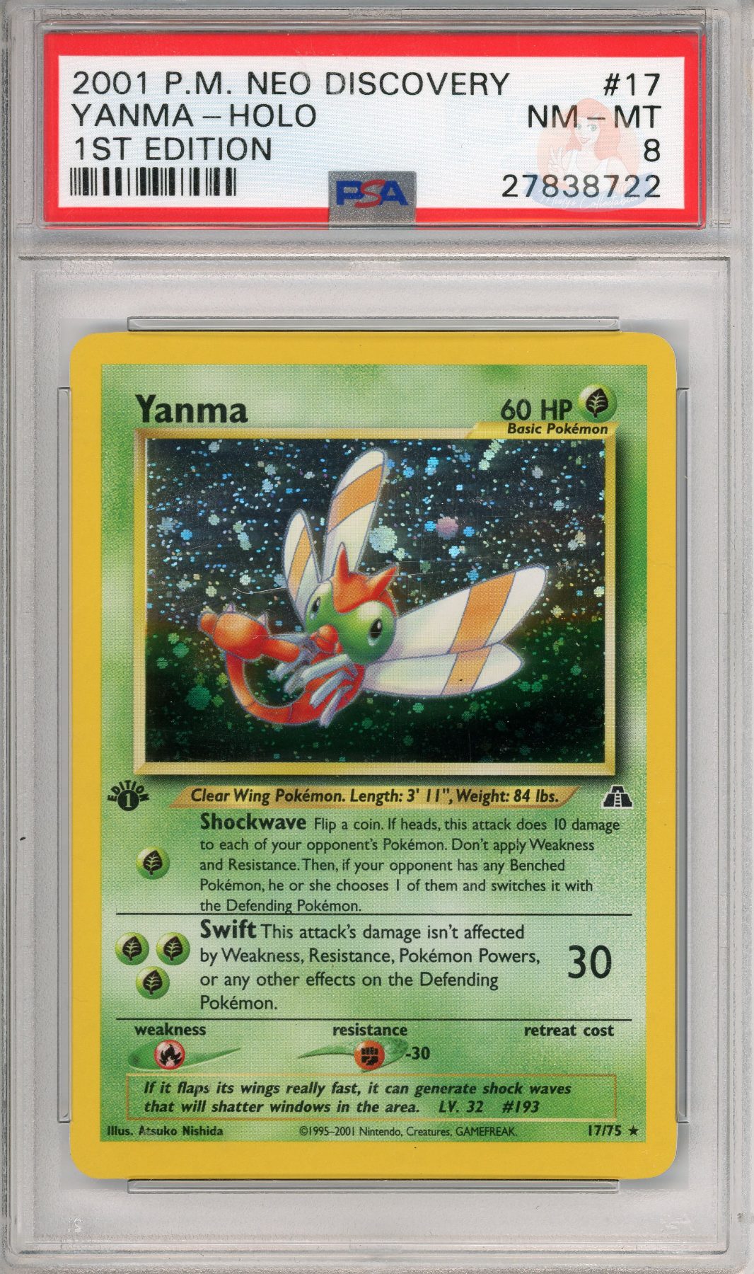 Yanma Holo